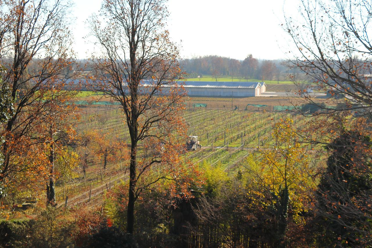Le Magnolie Agriturismo Verolanuova Zewnętrze zdjęcie